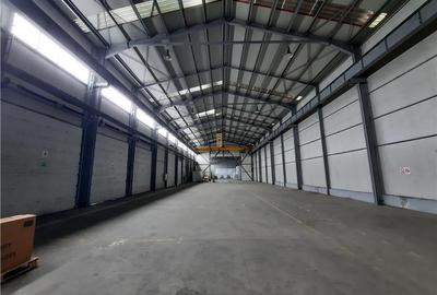 Spatiu Industrial - 700 mp - Logistica - Depozitare - Distributie - 2