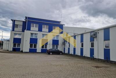 Hala industriala de vanzare in loc. Sfantul Gheorghe, jud. Covasna - 8