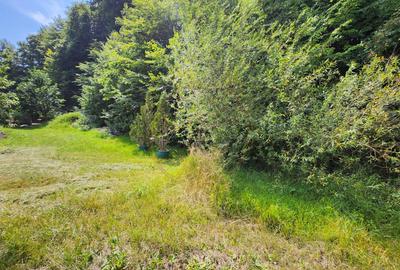 Teren intravilan, 1195mp, utilitati, la liziera padurii, parau, Faget - 1