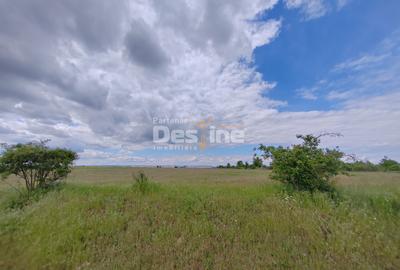 Teren extravilan, 114000 mp, Parc industrial West Park - 5