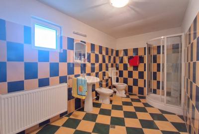 Ferma complet echipata de vanzare – zona Agnita, judetul Sibiu - 14