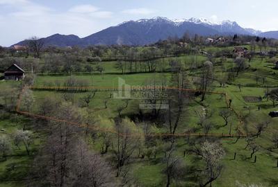 Teren de vânzare în Sohodol, comuna Bran - 4.289 mp - 1