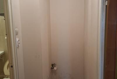 Apartament cu 2 camere de inchiriat in zona Colentina- Teiul Doamnei - 9