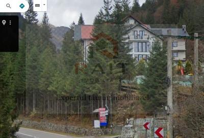 TEREN EXTRAVILAN PADURE PISCUL NEGRU ARGES - 1