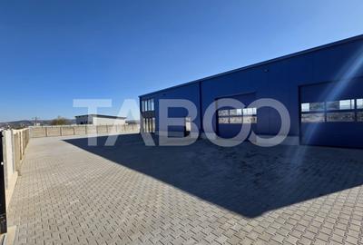 Hala industriala noua diverse destinatii de inchiriat in Sebes - 1