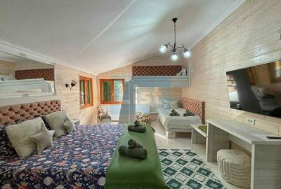 Casa de vacanta superba in Crivaia - 8