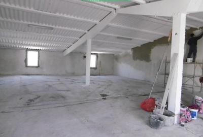 Hale pentru inchiriere aproape de Centura Arad si Autostrada A1 - 9