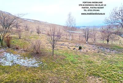 Vila cocheta,beci si livada,cadru natural intim si atractiv,zona Ciritei - 2