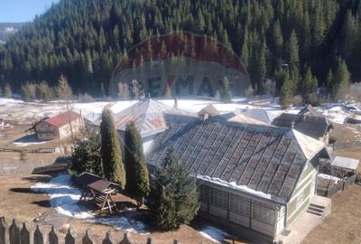 Case cu 7 camere de vânzare în comuna Panaci, sat Drăgoiasa. - 2