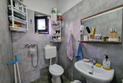 Vila individuala cu 5 camere si piscina, mobilata si utilata, Popesti - 24