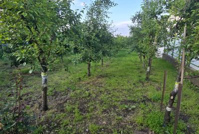 Teren d e vanzare 14000 mp , ultracentral Odobesti - 4