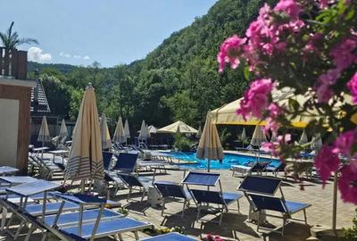 Cabana & pensiune de vanzare - 2