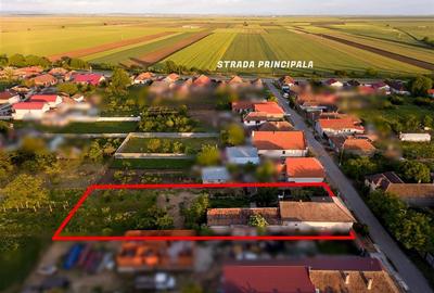 RECO Casa in Girisu de Cris, la 12 km de Oradea - 4