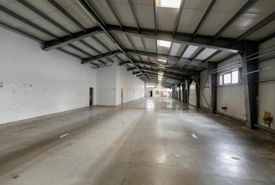 Pitesti, hala industriala/productie,depozitare/logistica de inchiriat, 800 mp - 1