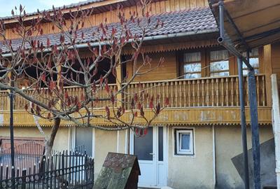 Casă / Pensiune de vânzare – Balta, Gorj - 14