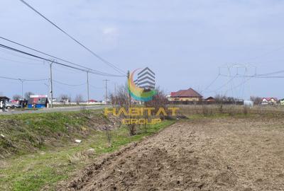 Teren extravilan – 10.000 mp, acces direct DN4 Frumușani - 1