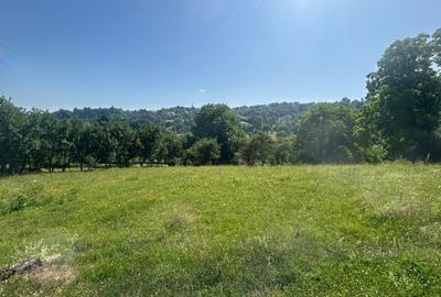 Teren Sohodol cu vedere catre M-tii Bucegi - 3