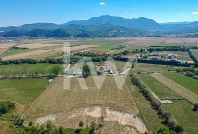 Teren intravilan, plat - 31.379 mp, Rasnov - zona Panicel