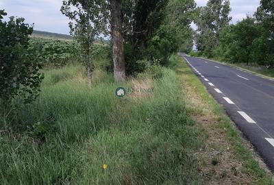 Teren Silistea Snagovului 10.000 mp intravilan+extravilan - 1