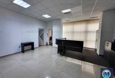 Spatiu industrial de vanzare in Campina, zona Central, 4600 mp #16268 - 14