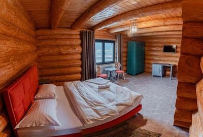 Cabana din Busteni in Bucovina! De Vanzare! 0727817187 - 13