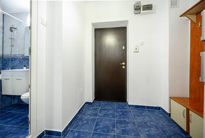 Dristor-Ramnicu Valcea, garsoniera moderna, bloc mixt, PET FRIENDLY - 16