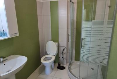 APARTAMENT 2 CAMERE - COCHET - AMPLASAT IDEAL - 24