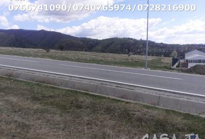 Teren Intravilan(3000mp), Novaci - Ranca - 9