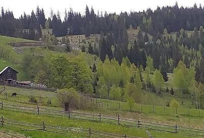Teren 14.485 m.p. - Iacobeni, Suceava - 2
