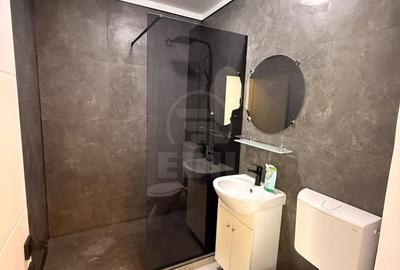 Inchiriere Apartament 1 camera decomandat, 29 mp, Cetatii - 6