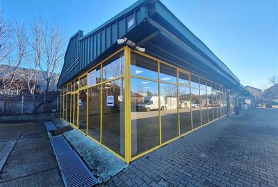 Showroom | 2 x Hale | Teren 1900 mp – inchiriere | vanzare, Bucegi - 4
