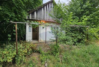 Casa  de vânzare cu teren 9200 mp, Pădureni-Șendriceni, Botoșani - 28