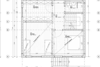 Pensiune, casa de vacanta, 6 camere, statiunea Rausor din Hunedoara - 35