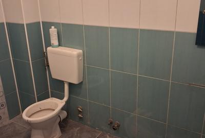 Vanzare Casa Individuala Popesti-Leordeni - 20