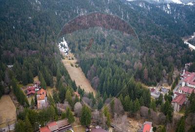 Teren 2000mp intravilan de vanzare in Poiana Brasov! Comision 0%! - 16