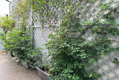 Vila 6 Camere de Inchiriat Rezidential sau Birouri *Dorobanti* - 21