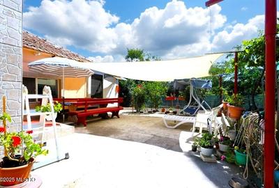 Palazu Mare - Strada Gheorghe Baritiu 16, casa cu teren de 680 mp! - 30