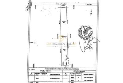 Teren intravilan 9.996 mp, Popesti-Leordeni–investitie imobiliara - 6