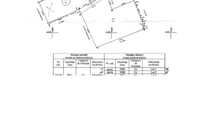 Oferta 2 parcele de teren, zona Dedeman - Banovita (zona Industriala Est)