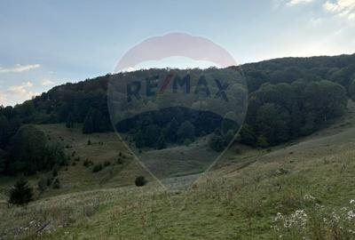 TEREN EXCLUSIV PENTRU INVESTIȚIE ÎN ZONĂ DE AGREMENT – BRAȘOV, DN 1E - 3