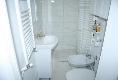 P-ta Mihail Kogalniceanu - Cismigiu, apartament deosebit 2 camere, etaj 1 - 10