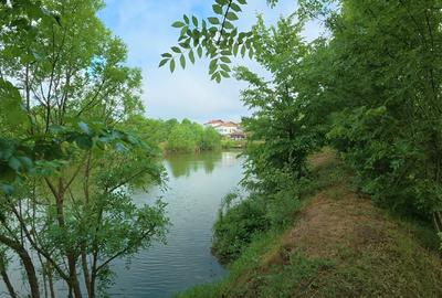Teisori domeniul verde cu baltă de pește ,Neajlov,,Padure - 15