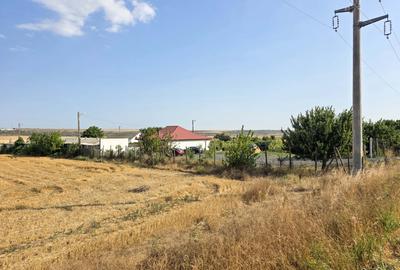 Ferma si casa de vanzare - teren intravilan, la 20min de Constanta! - 25