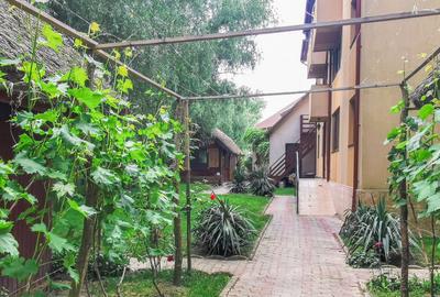 Pensiune, Afacere la cheie in Delta Dunării, Uzlina - 11