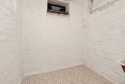 Piata Muncii - Decebal, casa 87 mp totali, 179 mp curte libera, - 32