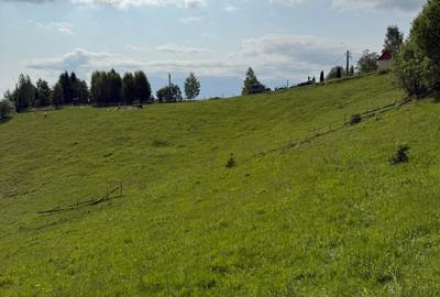 Teren superb intravilan  Pestera- Brasov, 11.908 mp - 7