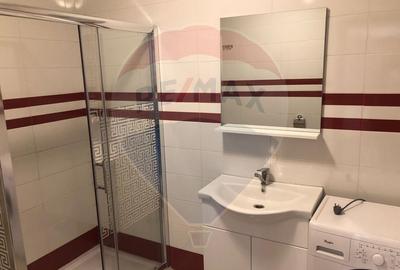 Apartament cu 3 camere de închiriat în zona Nufărul - 8