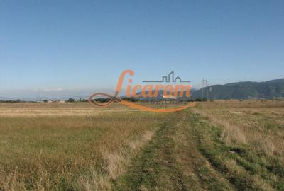Codlea teren constructii industriale sau logistice 8 ha pana la 24 Ha - 12