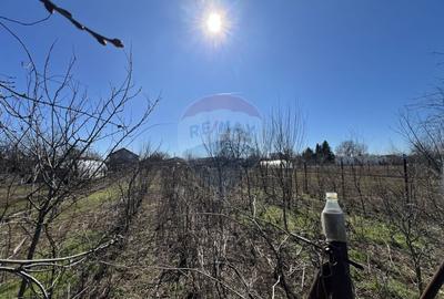 Oferta! Vand casa pe teren mare la pret excelent - Gruiu IF - 6