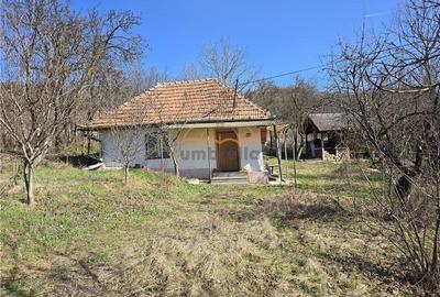 Casa de vanzare + Teren 11.400/?, Corpadea